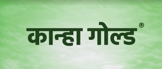कान्हा गोल्ड
